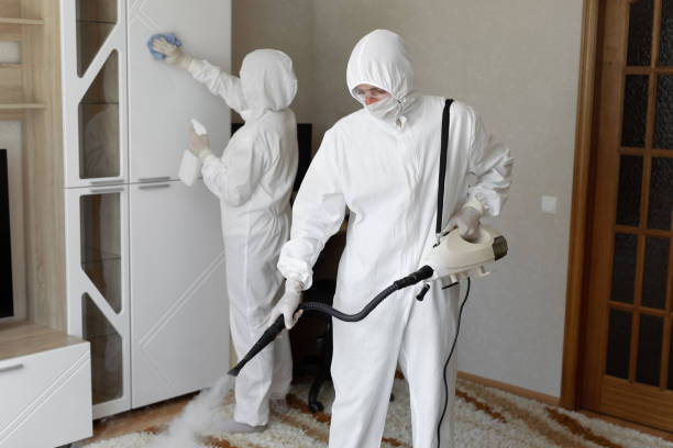 Trusted Sewage Cleanup service in Tremont City, OH - Four Month Blood Cleanse